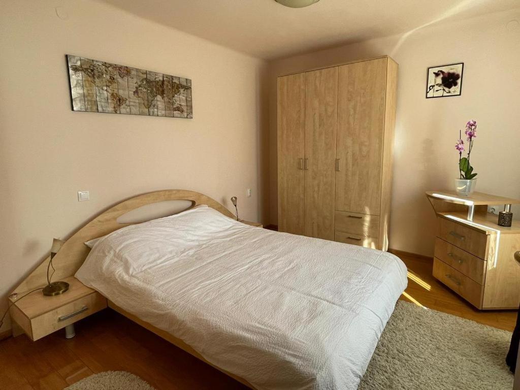 Winterland Sf.Ioan Apartment Brasov Exterior photo