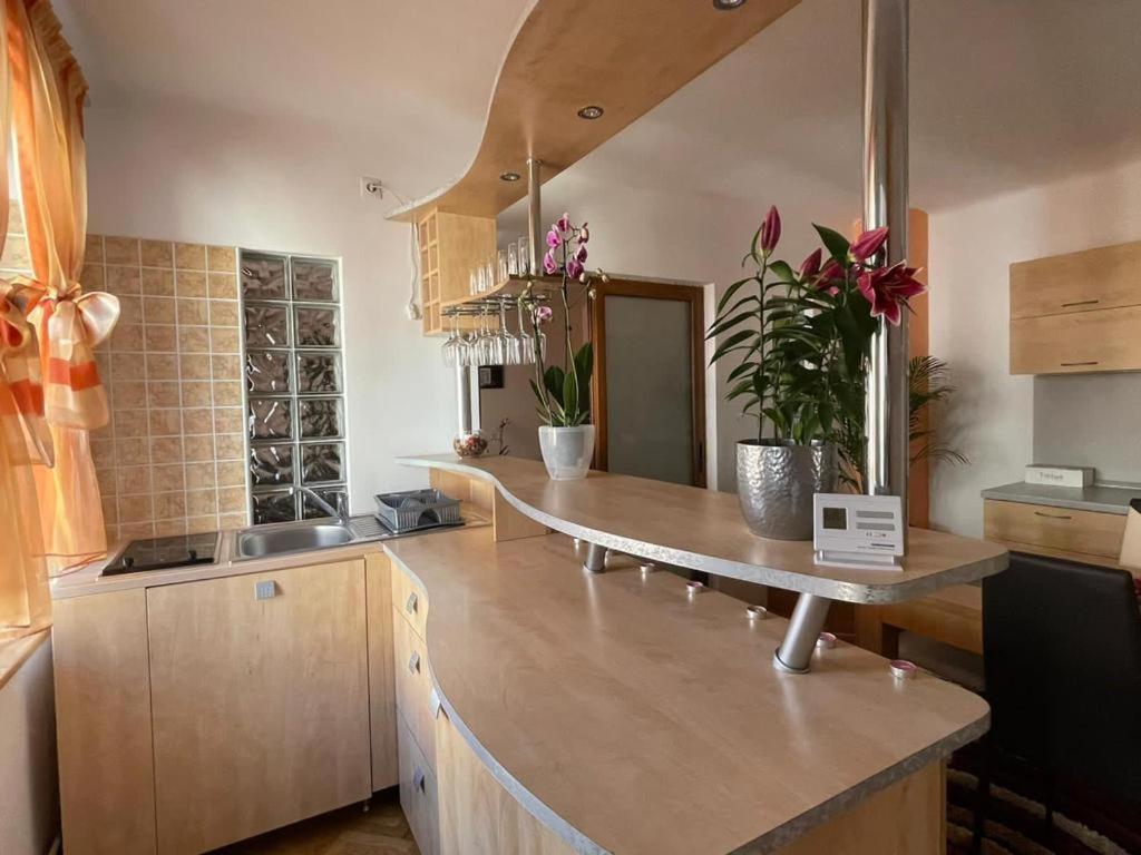 Winterland Sf.Ioan Apartment Brasov Exterior photo